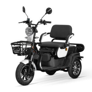 s'dreirädrige Trottwar-Kärrele V5